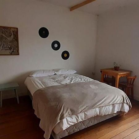 فالديفيا Casa Kila Hostel المظهر الخارجي الصورة